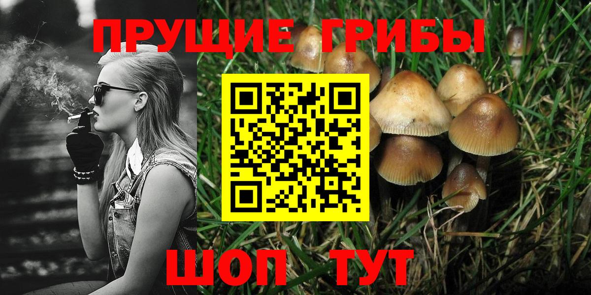 Псилоцибиновые грибы Psilocybine cubensis  Вход с VPN  Баксан 